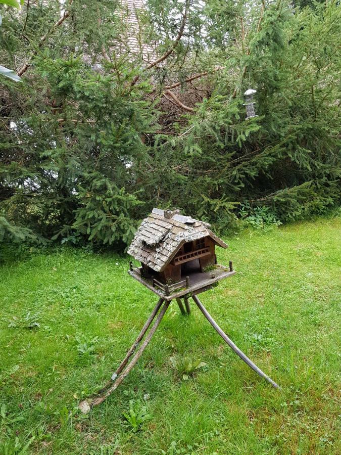 Pension Gebele Schluchsee Kültér fotó